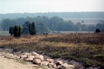 Lneburger Heide