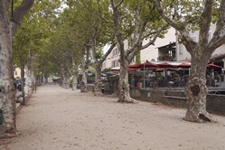 Cte d'Azur - Radtour nach Saint Tropez, Collobrires