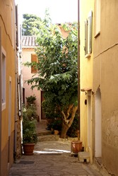 Gasse in Bormes-les-Mimosas