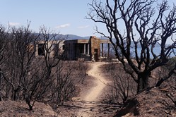 Camp du Domaine, Waldweg nach Cabasson