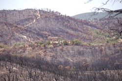 Camp du Domaine, Waldweg nach Cabasson