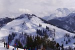 AlpendorfBlick vom Aussichtsturm